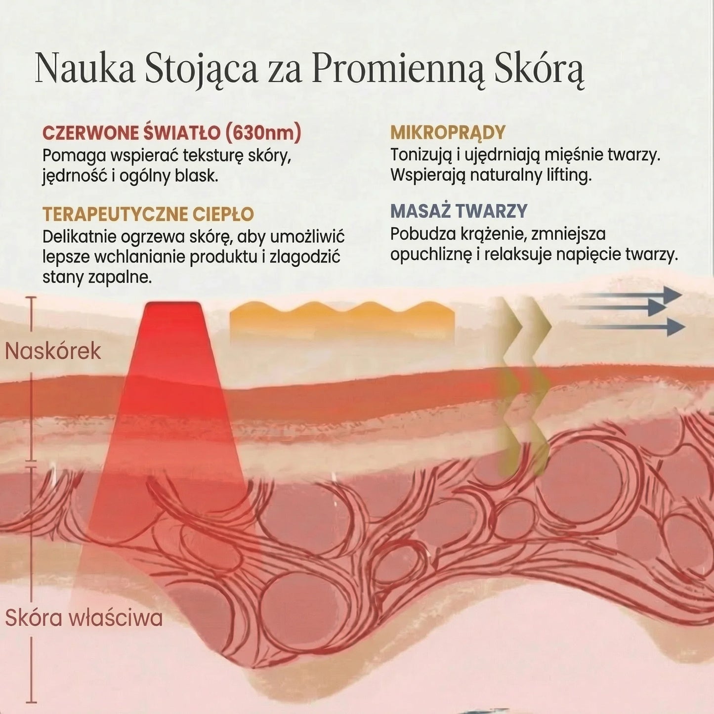 Infographic showing effects of red light, microcurrents, warmth, and facial massage on skin layers, QueenSkin skincare scientific benefits.