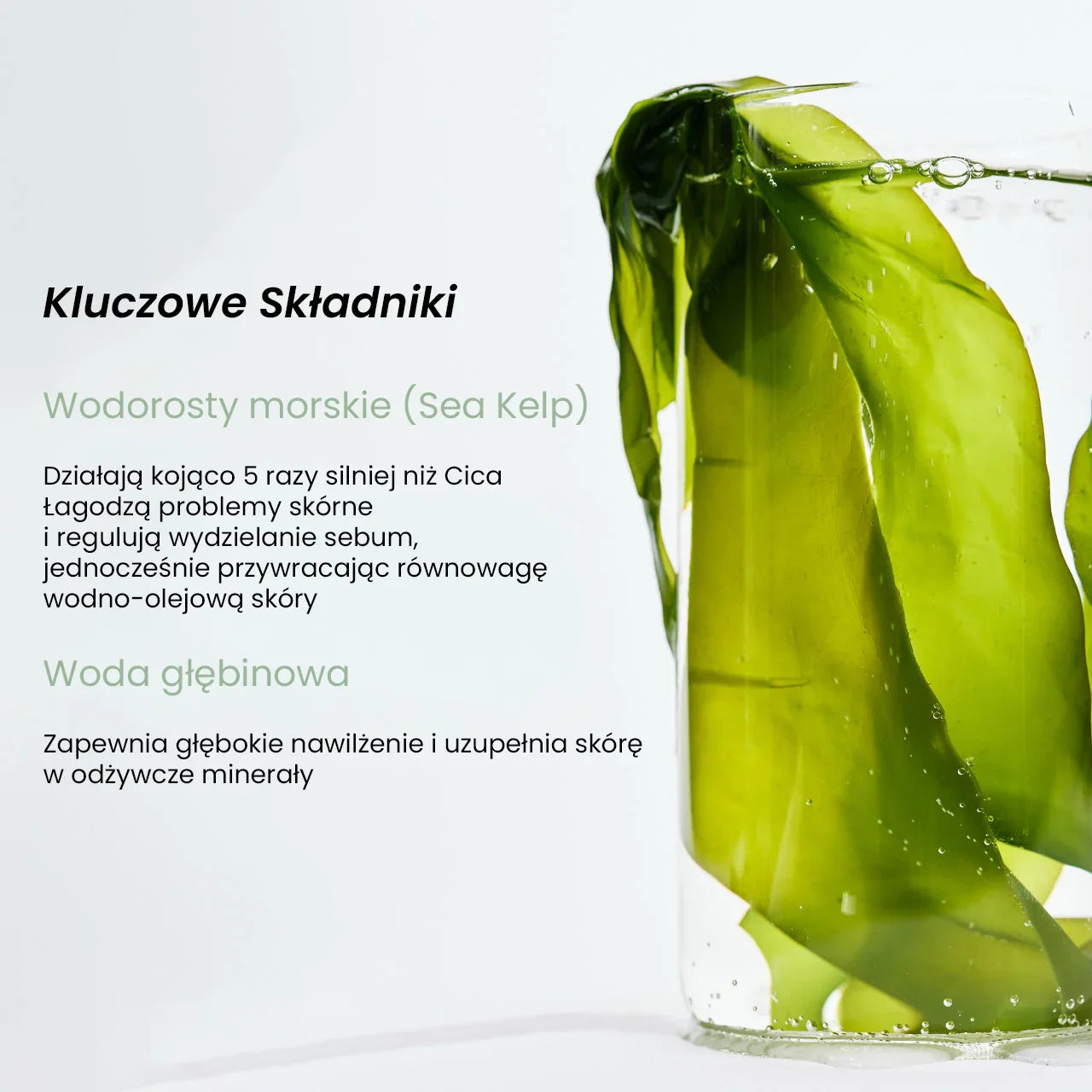 Sea kelp in a clear glass vase with mineral water, QueenSkin skincare ingredients display.