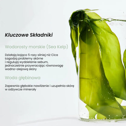 Sea kelp in a clear glass vase with mineral water, QueenSkin skincare ingredients display.